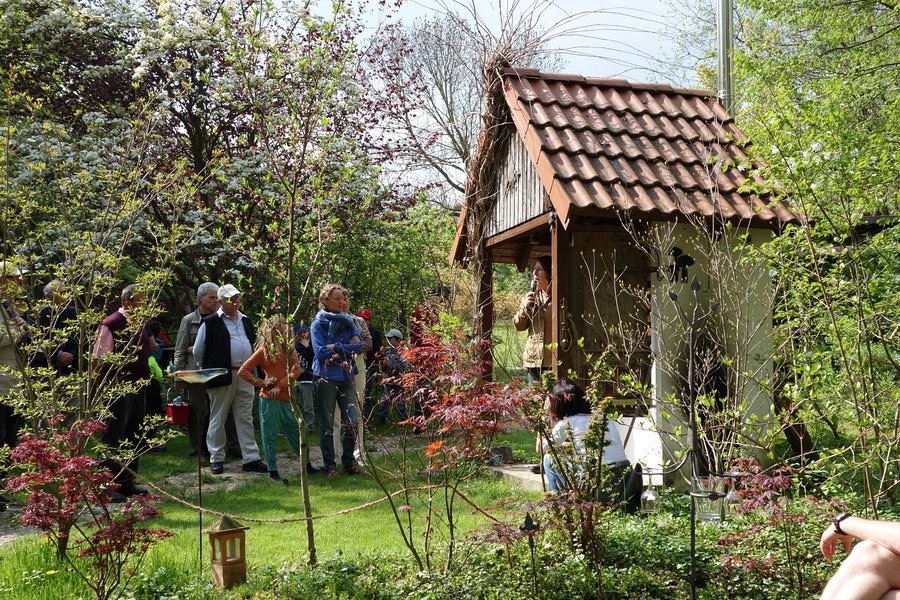 50+ Bärbels Garten, Bärbels garten ist nach 20 jahren teilnahme